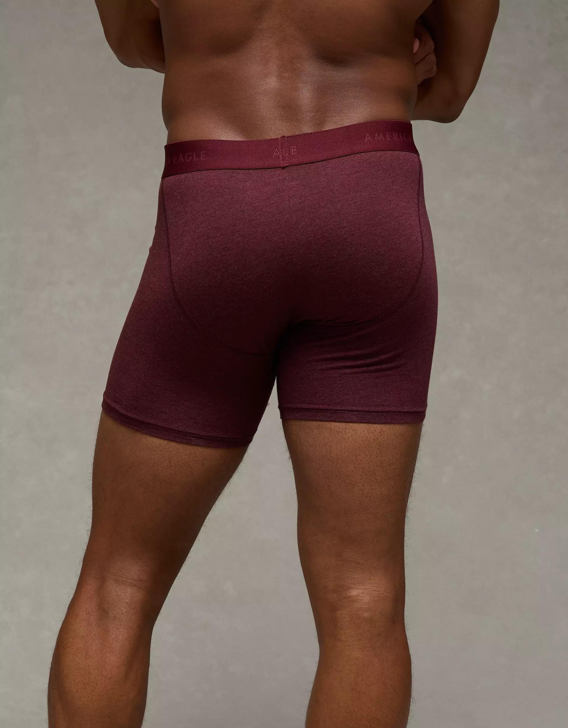 AEO Men's 6" Classic Boxer Brief Product Image