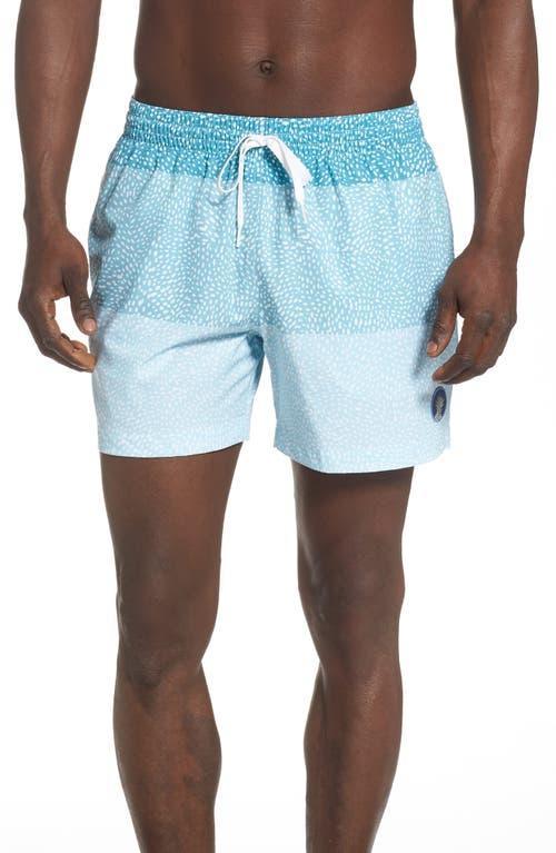 Men's Chubbies 5.5" Swim Trunks, Size: Small, Blue Product Image