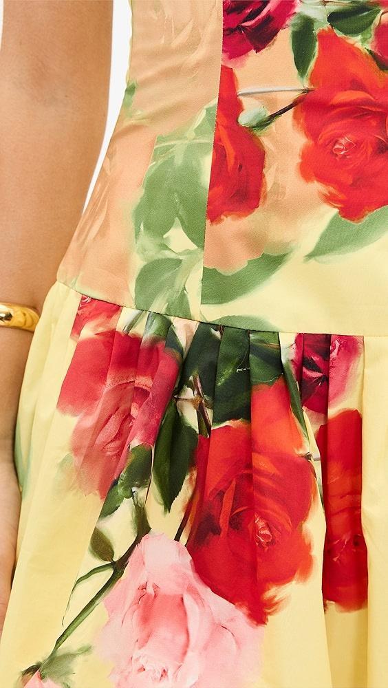 Cara Cara Elena Dress | Shopbop Product Image