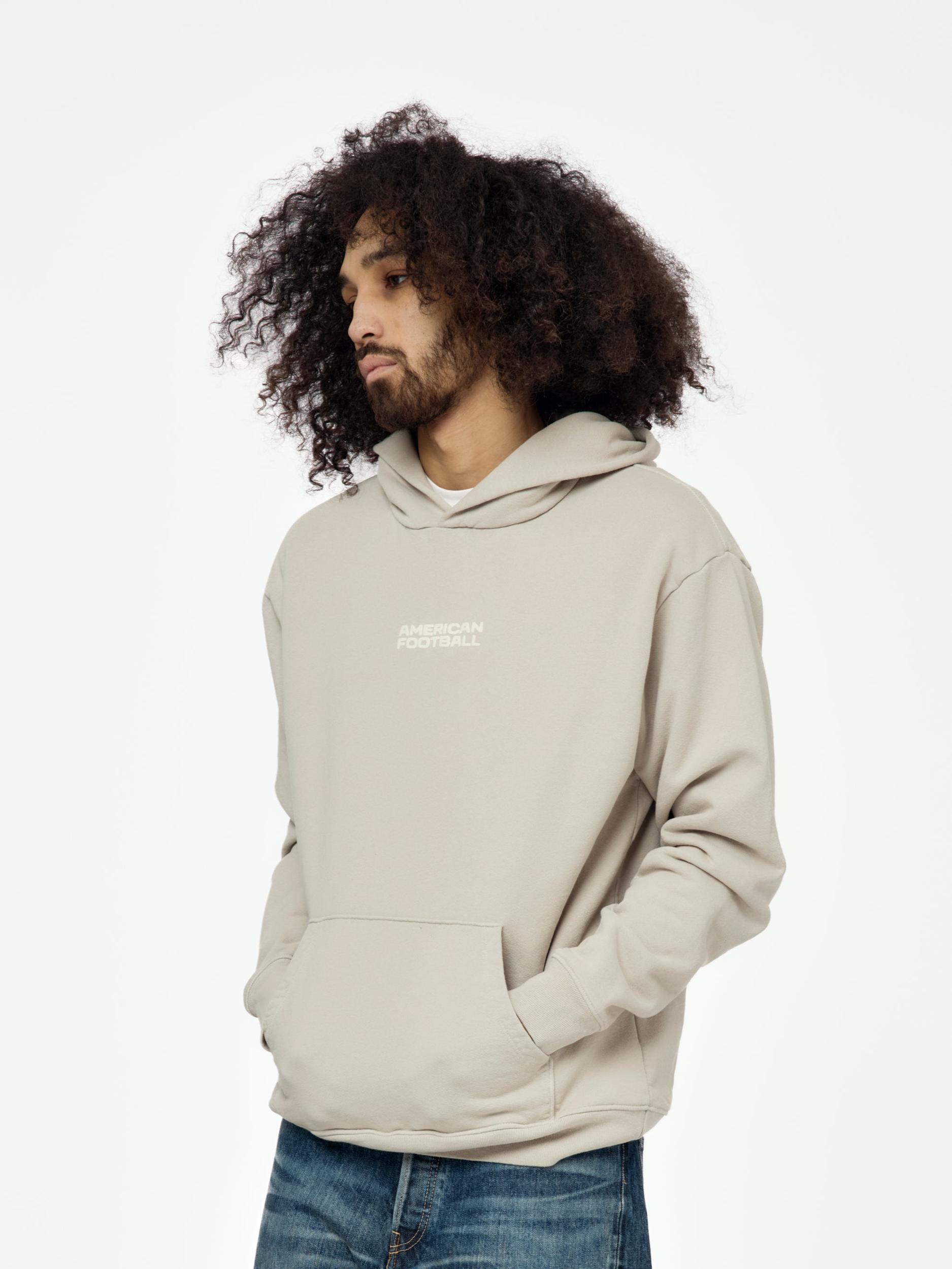 Big Icon Hoodie (Gray) Product Image