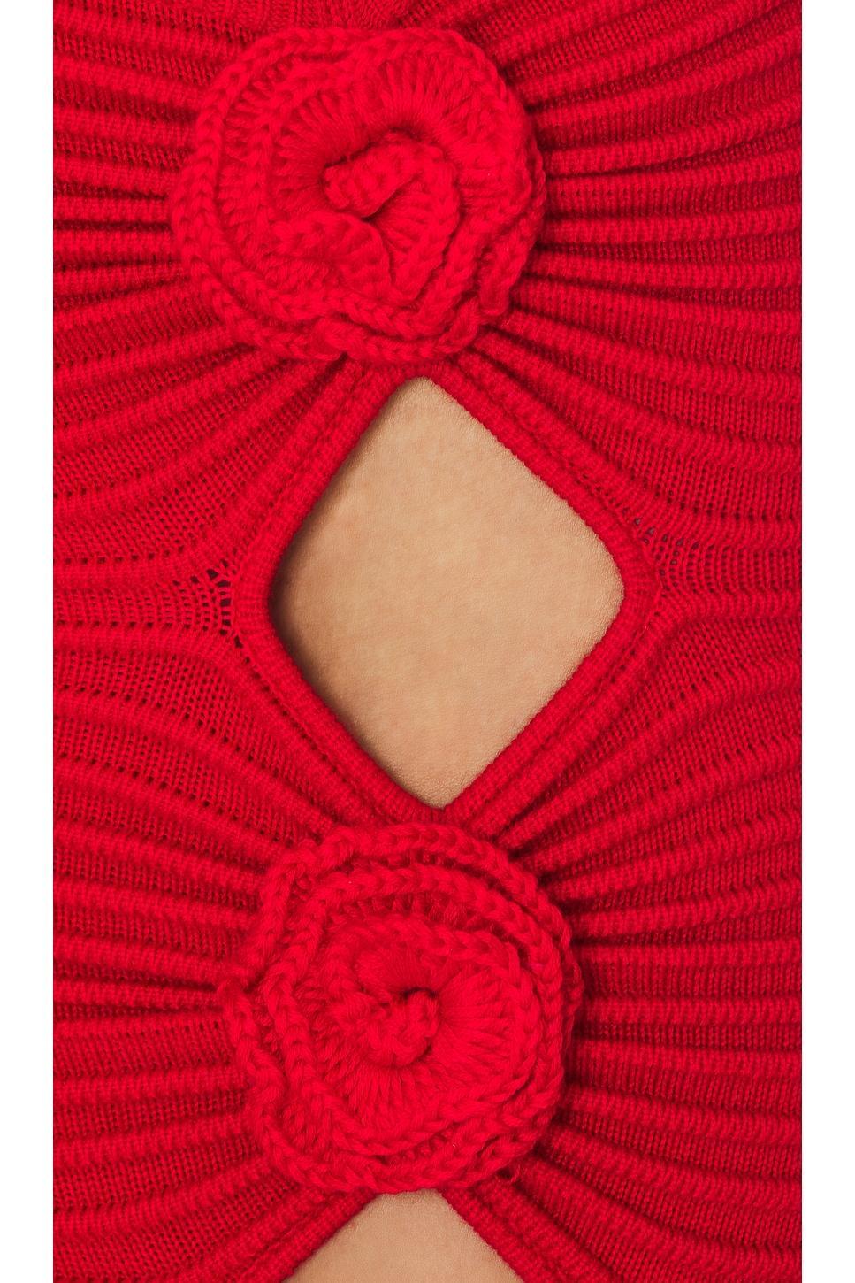Ziona Mini Skirt Lovers and Friends Product Image