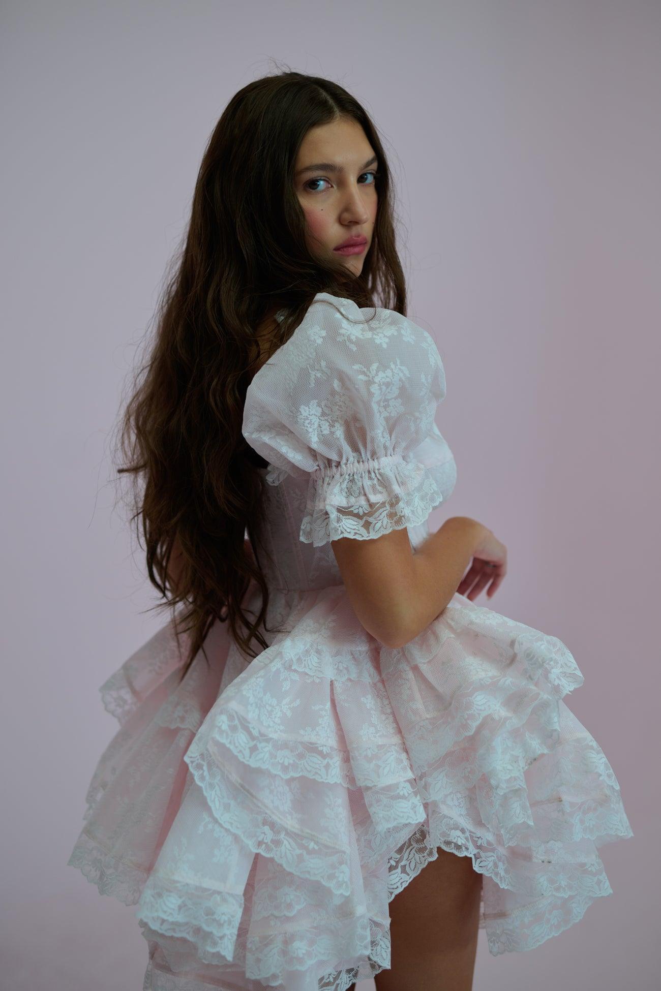 The Pink Lace Cecile Dress Product Image