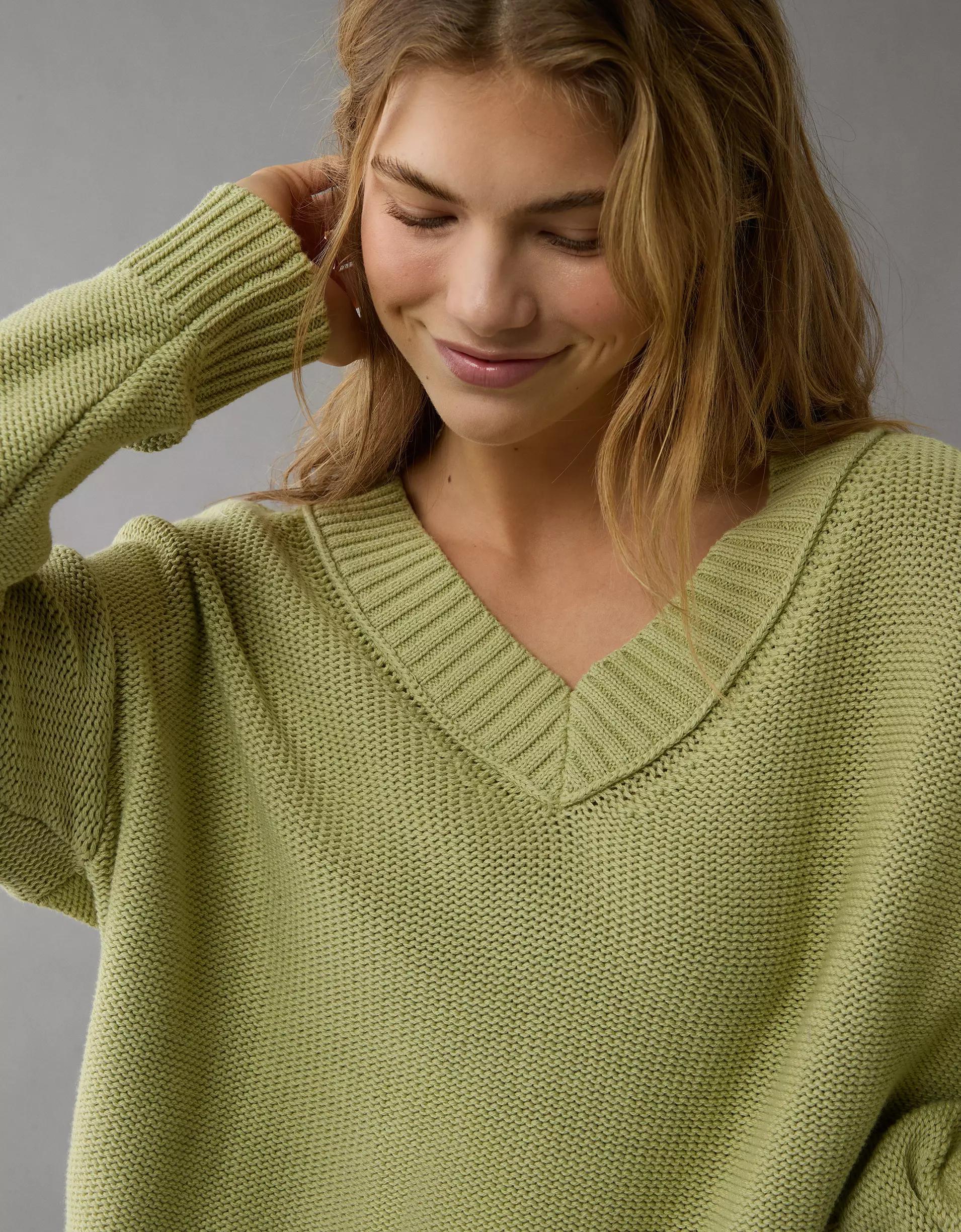 AE Long Weekend V-Neck Sweater Product Image