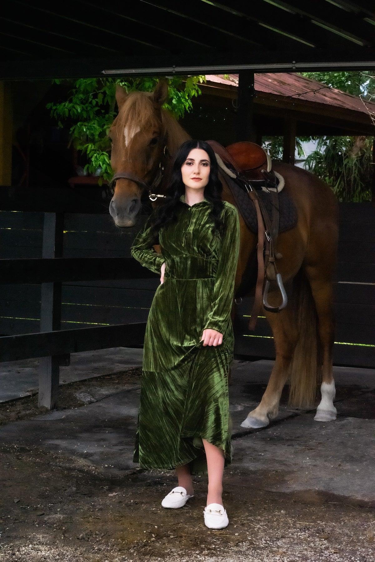 Michal Velvet Dress Product Image