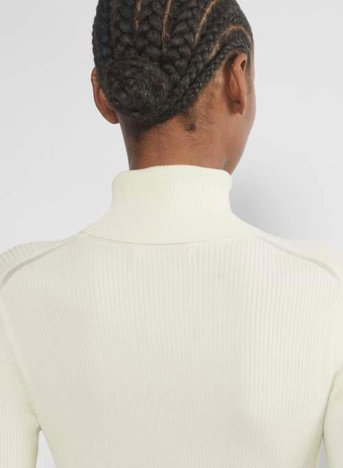 compel turtleneck Product Image