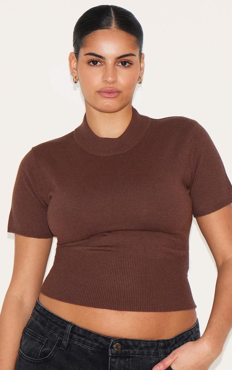 Plus Chocolate Basic Knit T Shirt Product Image