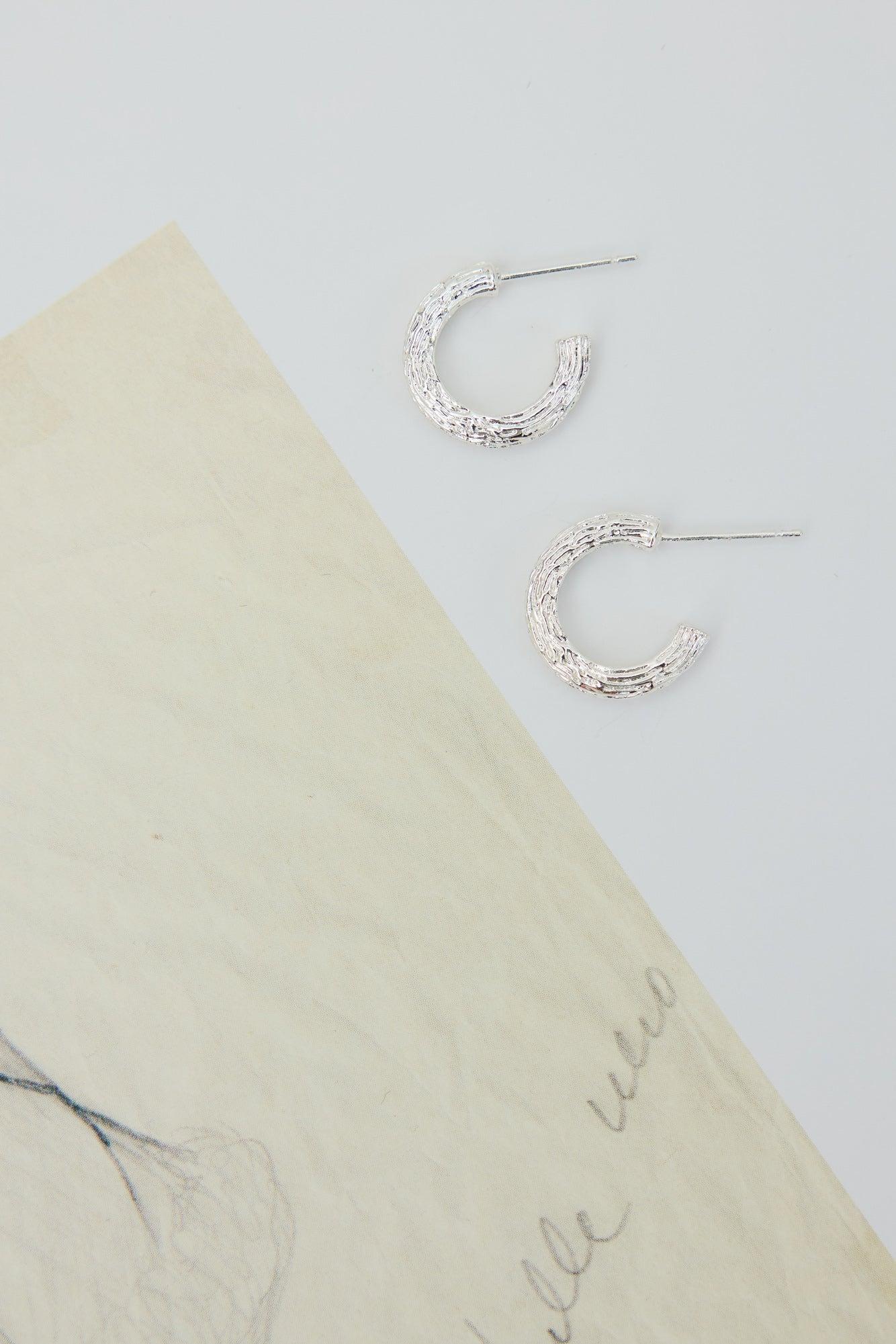 Sybella Earrings Silver Product Image