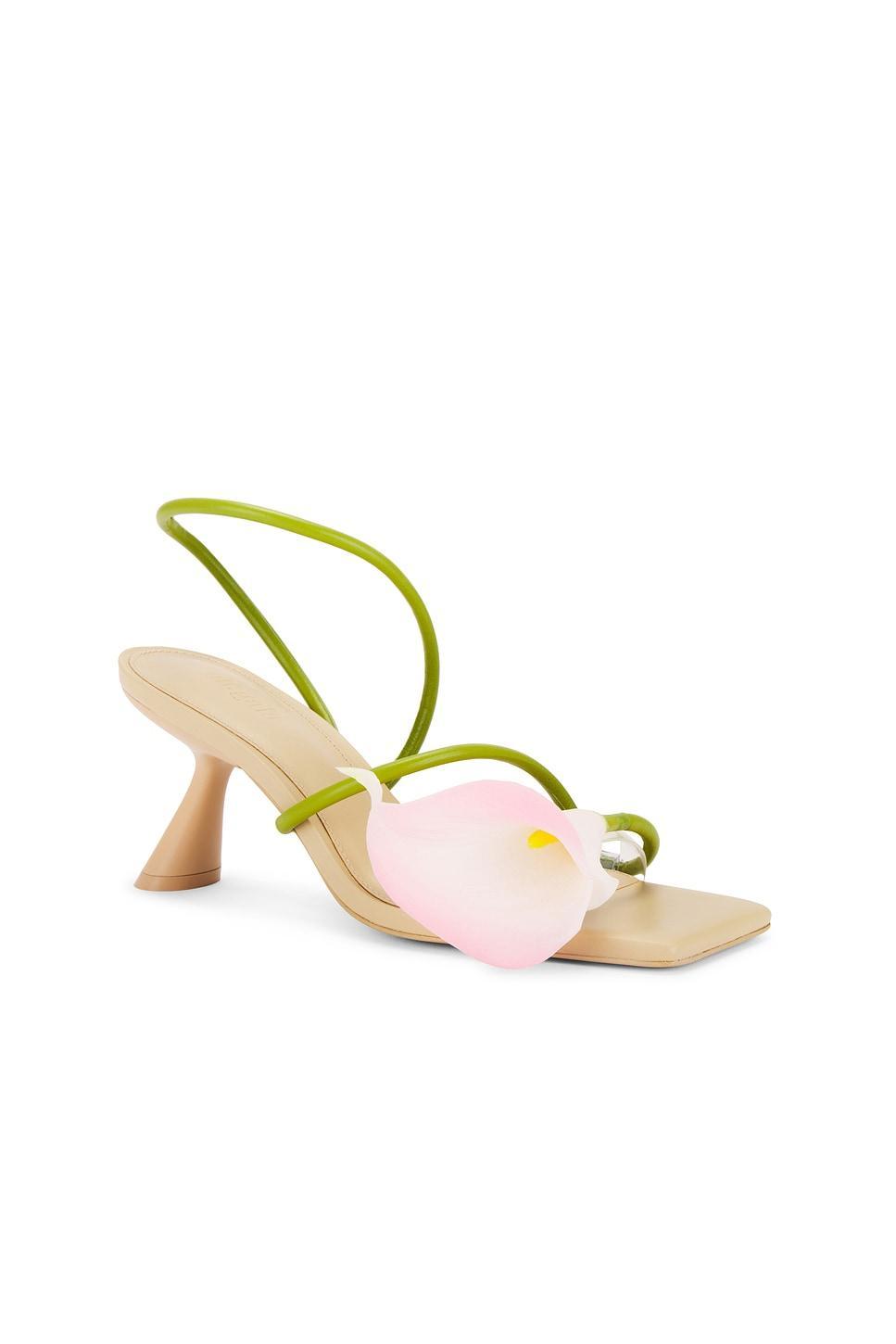 Ria Sandal Cult Gaia Product Image