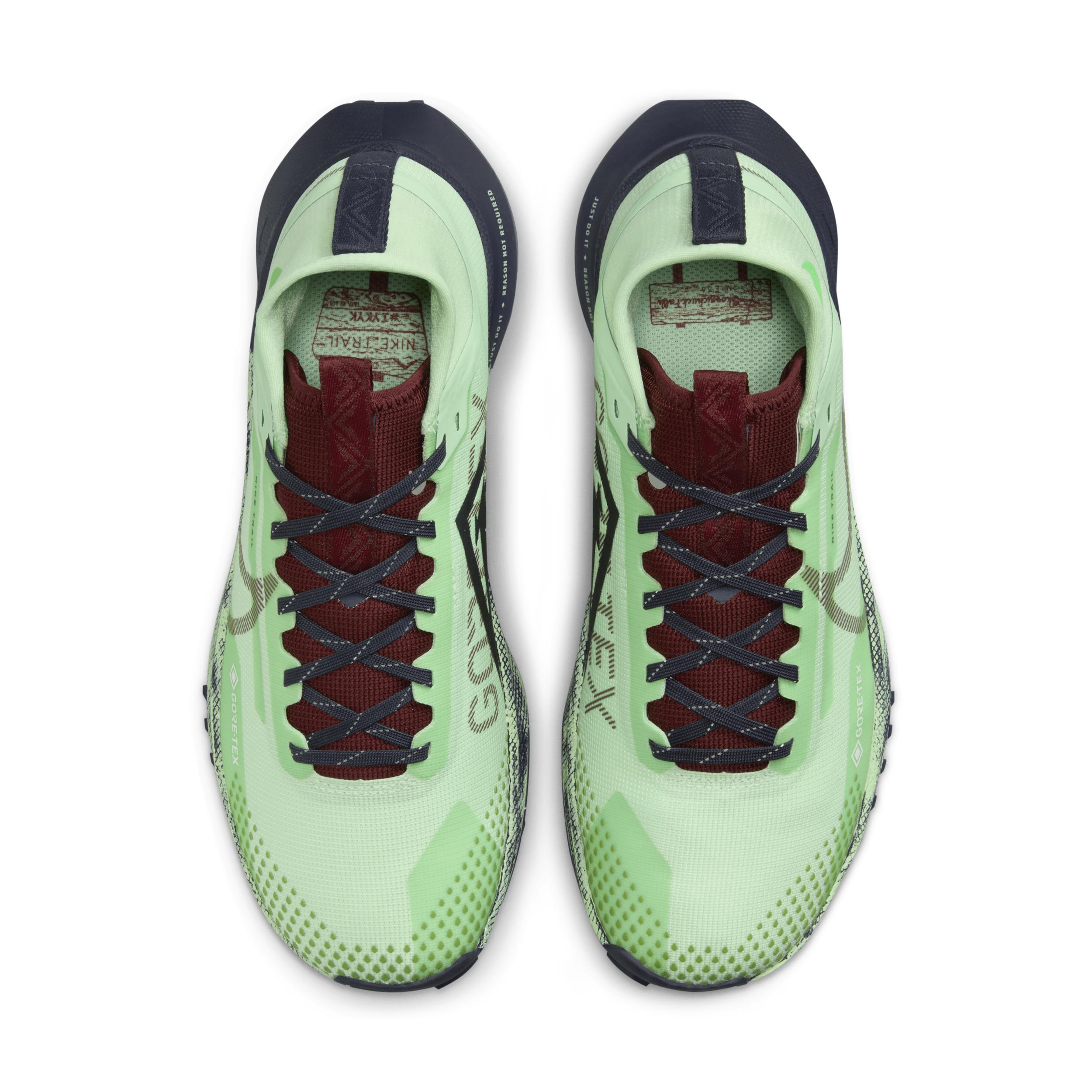 Nike Pegasus Trail 4 GORE-TEX Women's Waterproof Trail Running Shoes Product Image