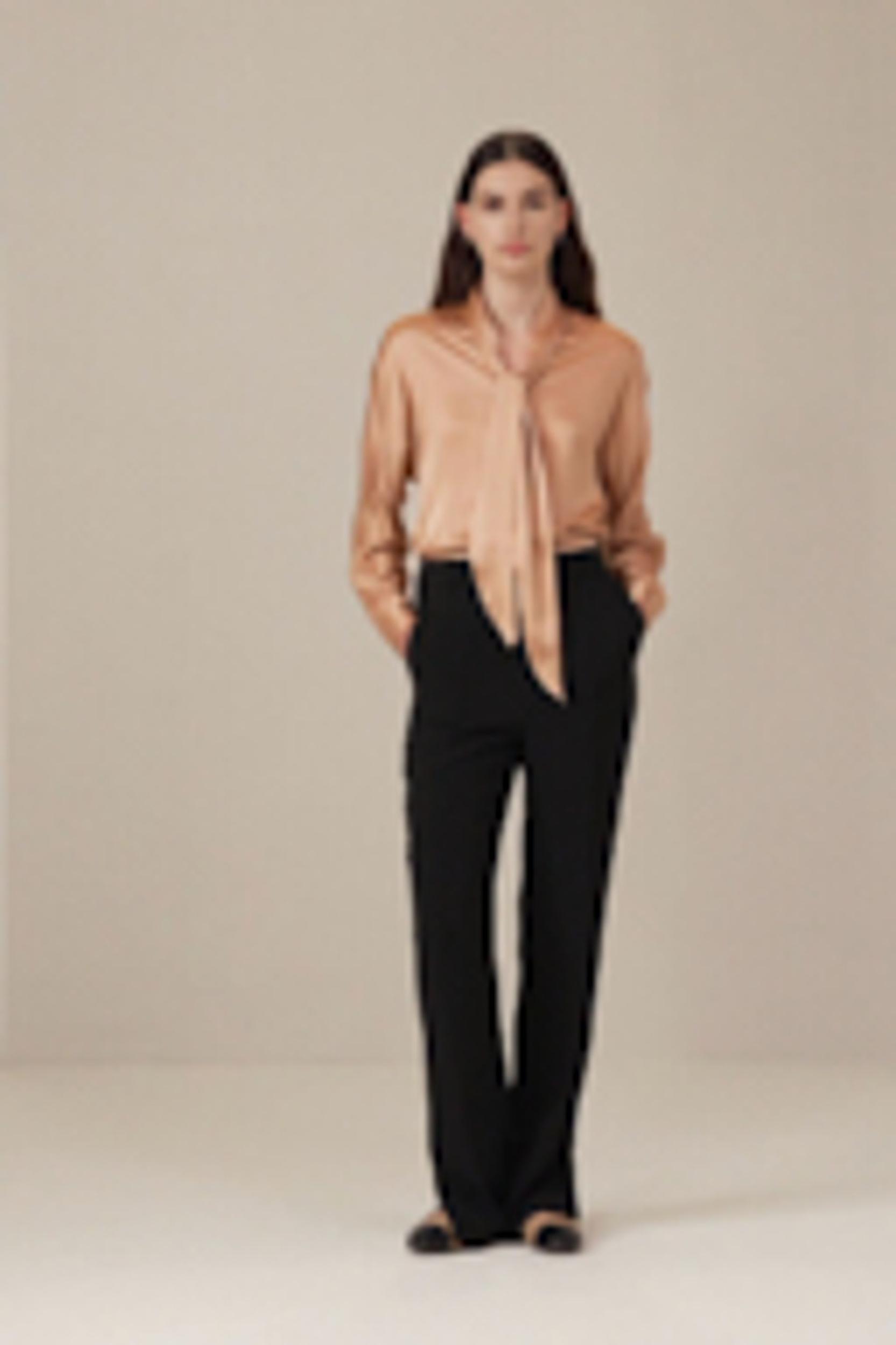 Bat Sleeve Silk Top with Adjustable Neck Tie Product Image