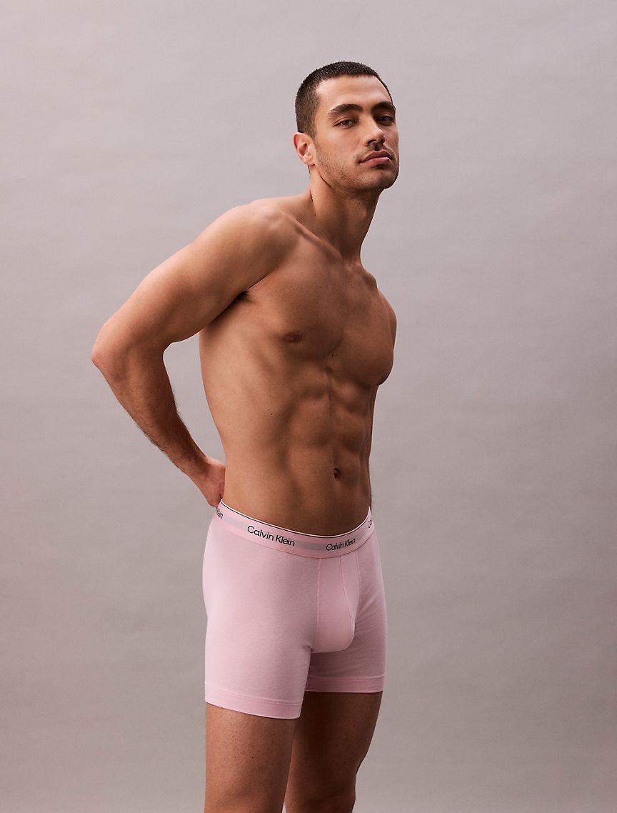 Icon Cotton Stretch Pride 5-Pack Boxer Brief Product Image