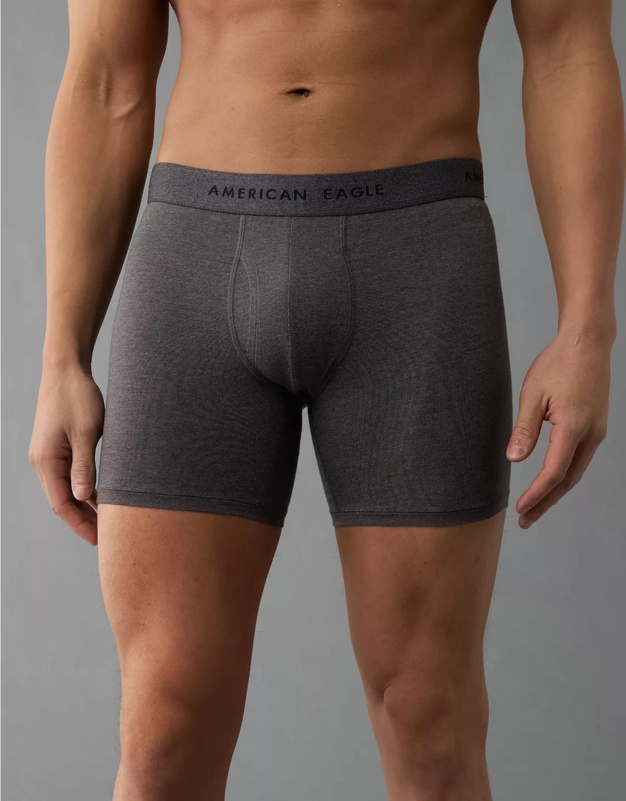 AEO Men's 6" Classic Boxer Brief Product Image