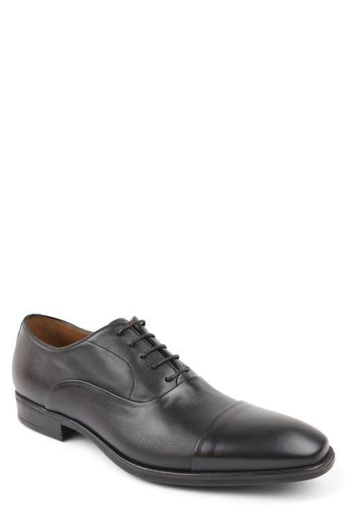 Bruno Magli Mens Locascio Cap Toe Oxfords Product Image