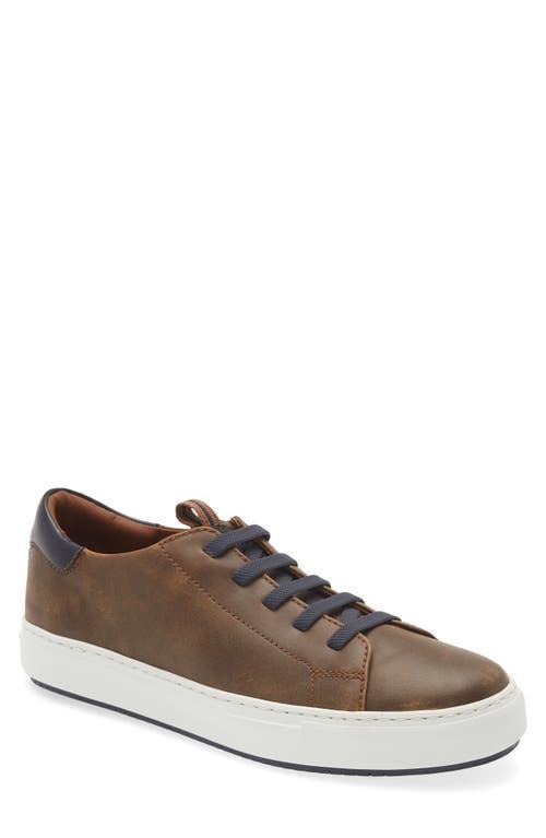 Johnston  Murphy Collection Mens Anson Tumbled Leather Lace-To Product Image