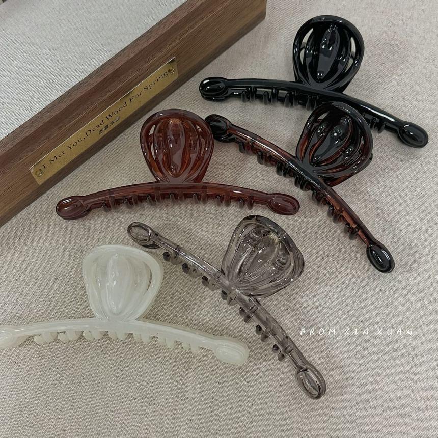 Resin Hair Claw Clips Product Image