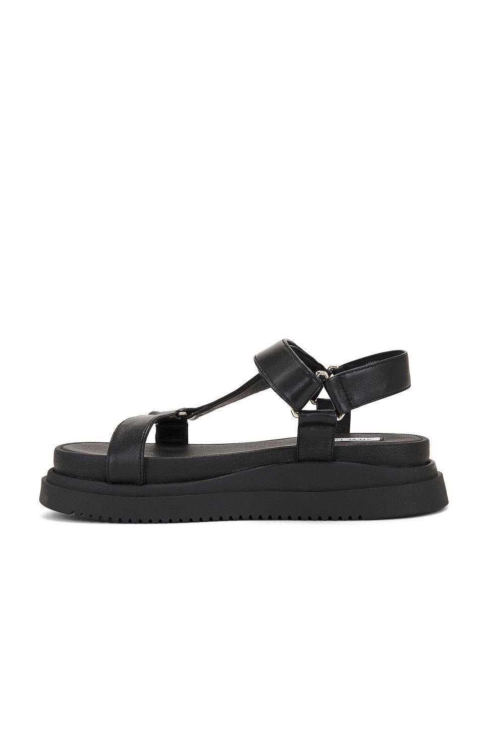Matina Sandal Steve Madden Product Image