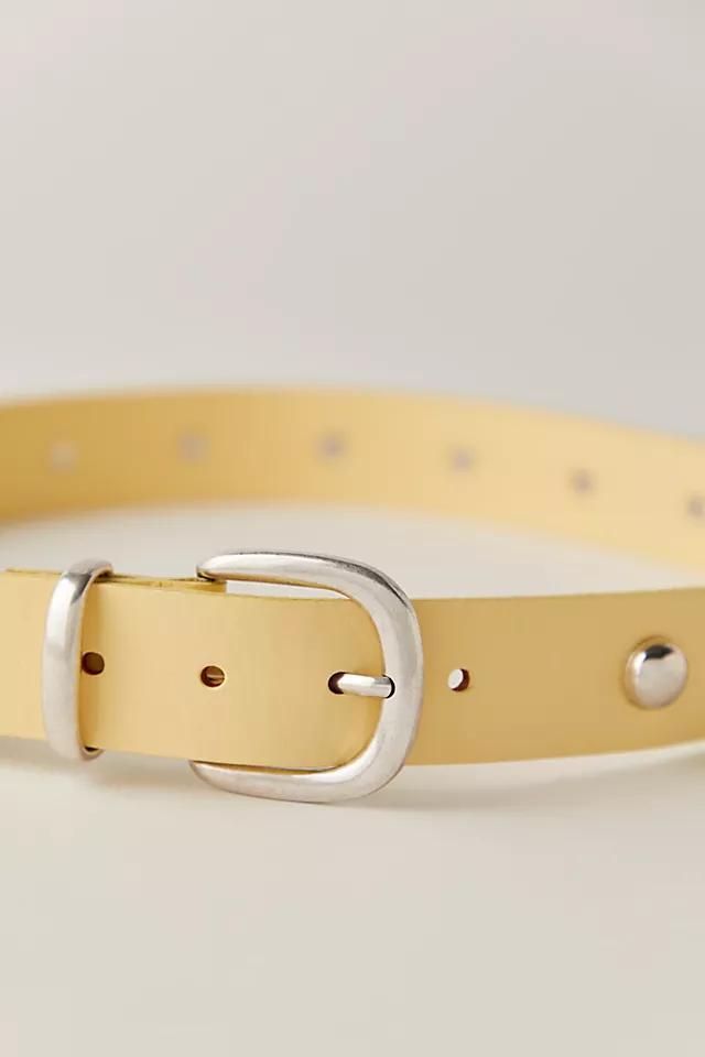 Rhodes Stud Belt Product Image