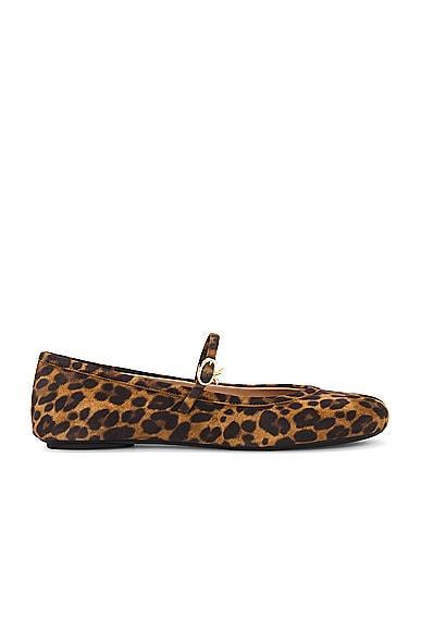 Gianvito Rossi Carla Camoscio Flats in Brown Product Image