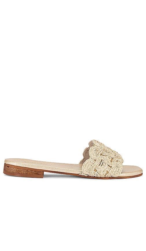 Nash Sandal Product Image