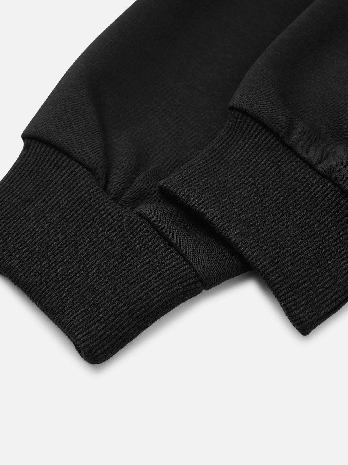 Aelfric Eden Solid Embroidery Sweatshirt Product Image