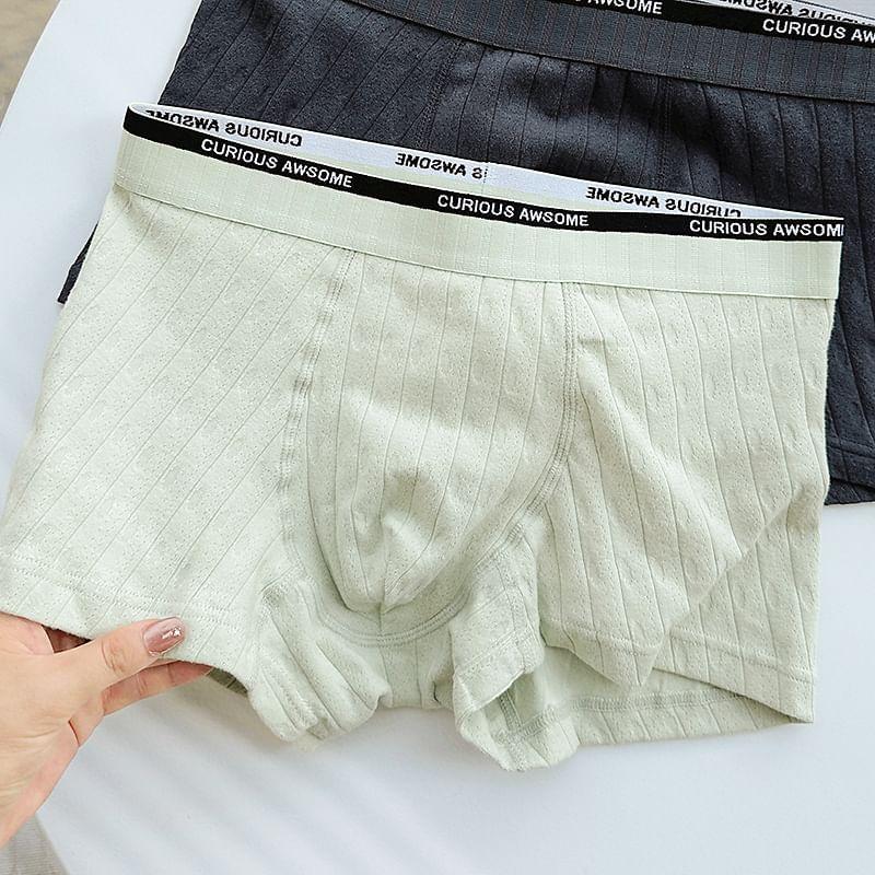 Lettering Waistband Brief Product Image