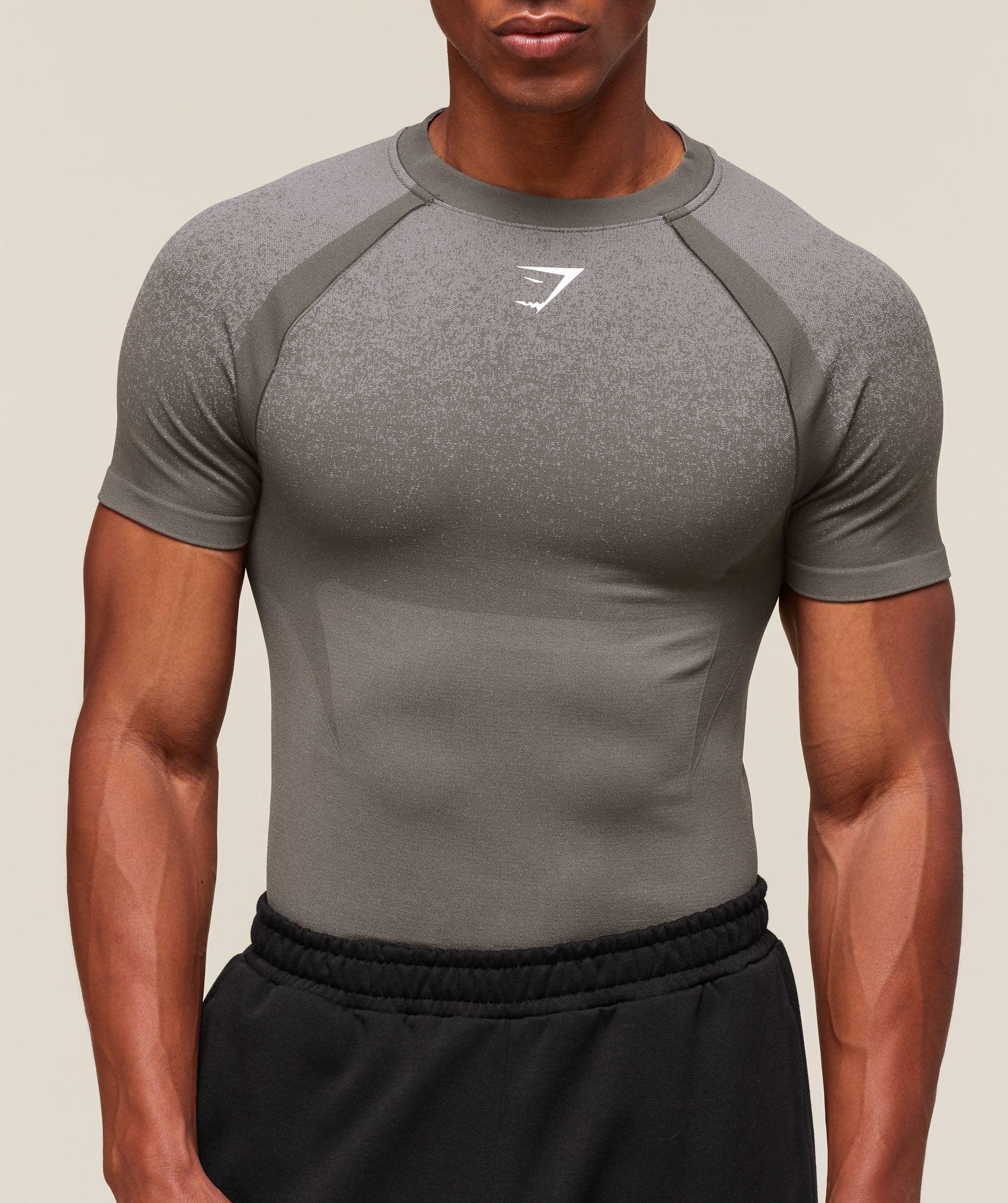 Gymshark Shadow Seamless T Shirt - Meteor Grey Male Product Image