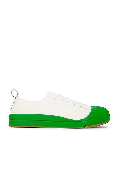 Bottega Veneta Vulcan Low Top Sneaker in White Product Image