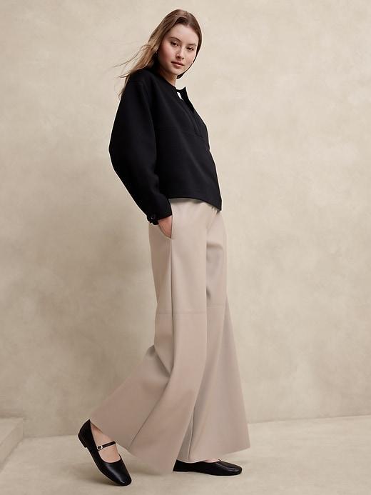 Vegan Leather Wide-Leg Pull-On Pant Product Image