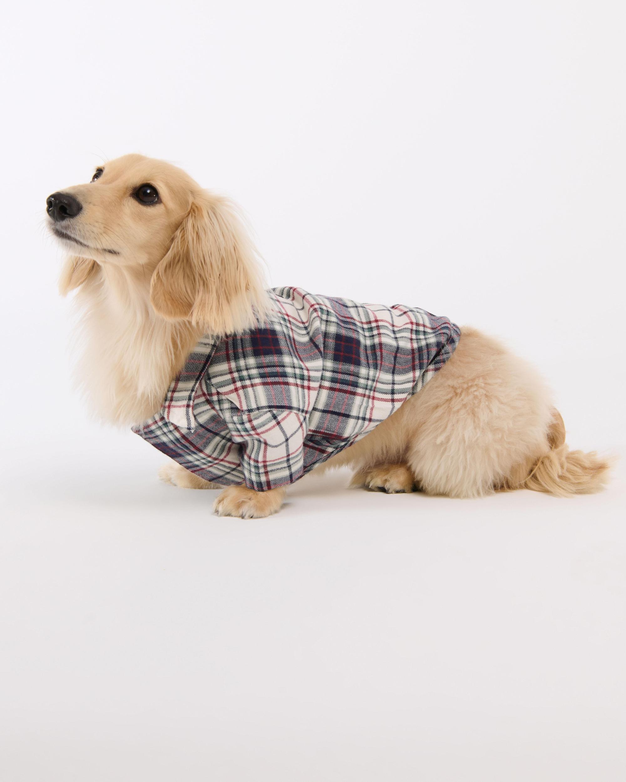 A&F Pet Sweater Product Image