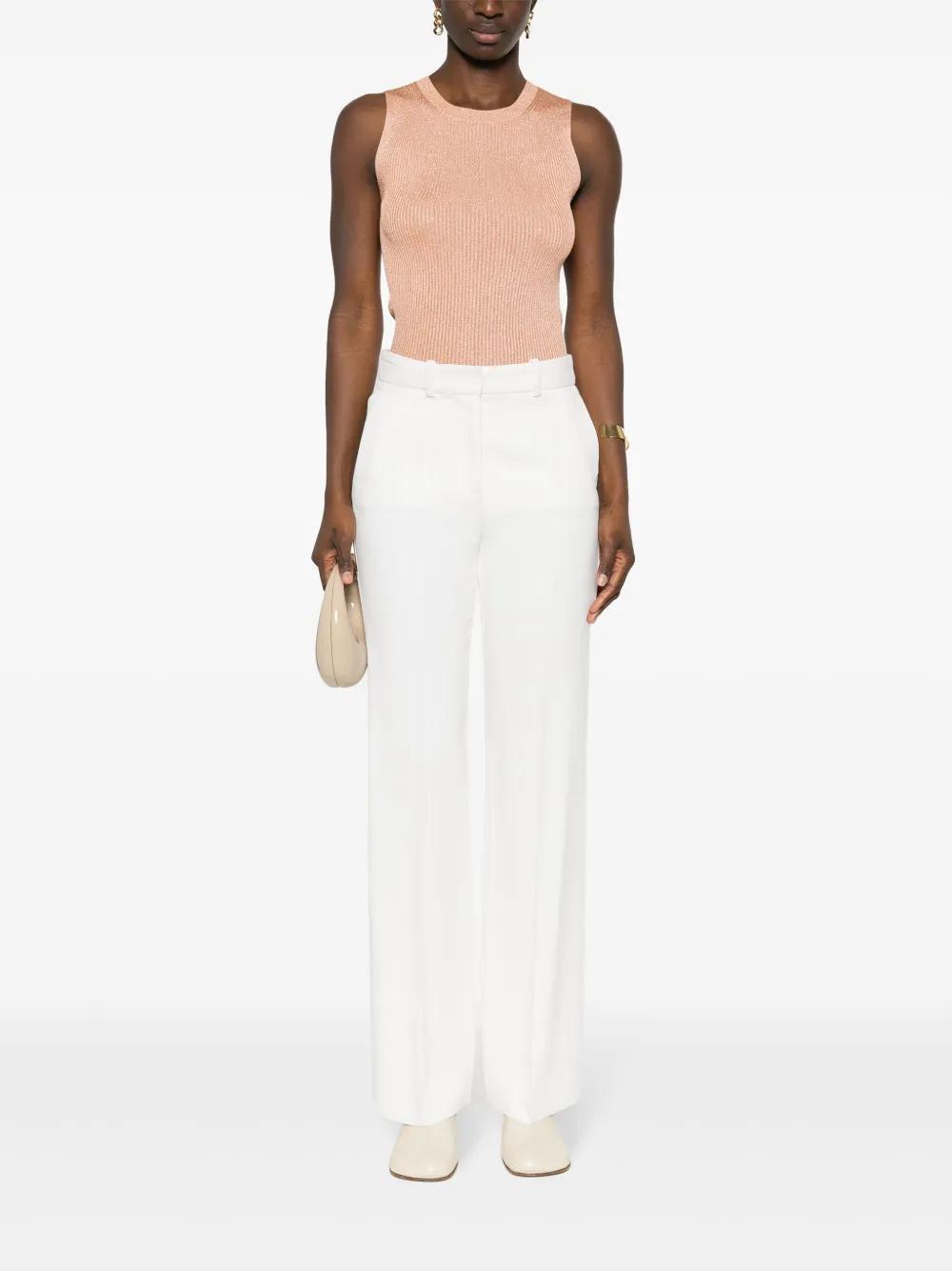 FABIANA FILIPPI Lurex Ribbed Top In Vr2 Product Image