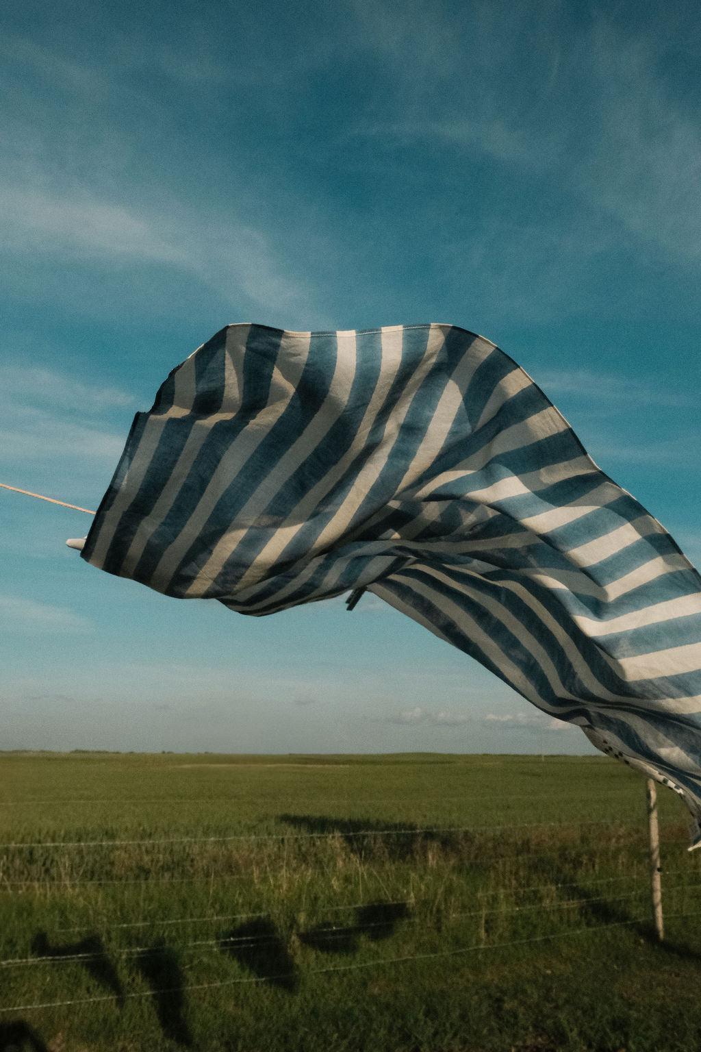 Blue-Striped Mary Bandana Product Image