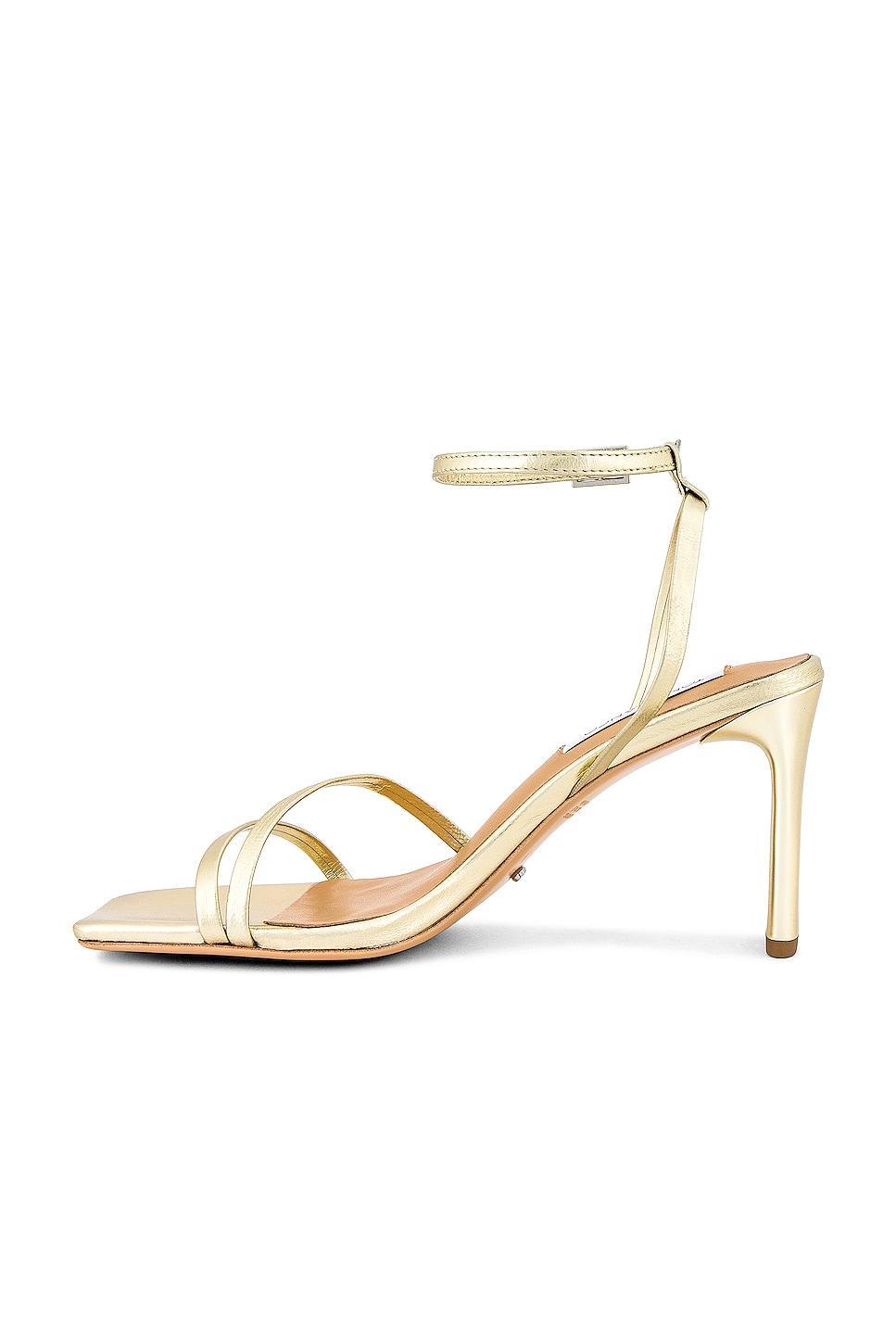 Corso Heel Tony Bianco Product Image