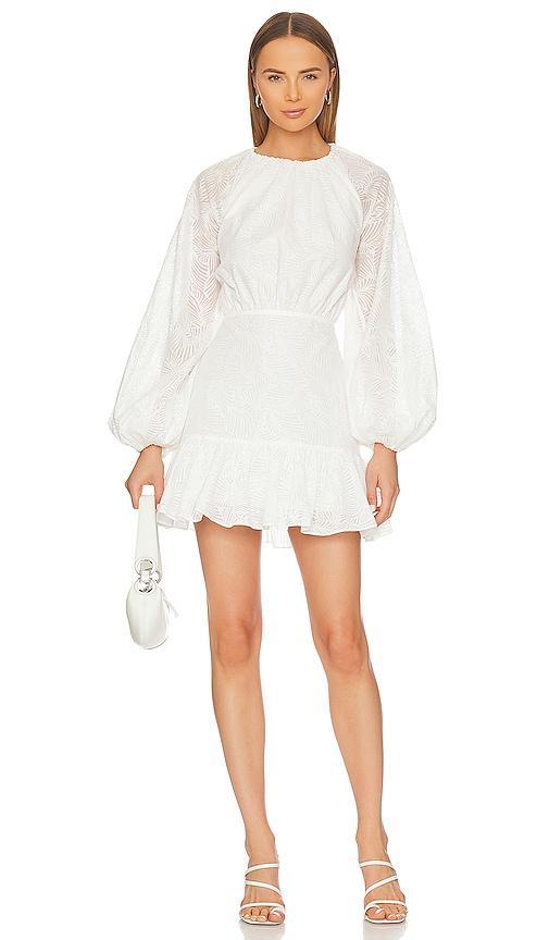 Zofia Mini Dress Significant Other Product Image