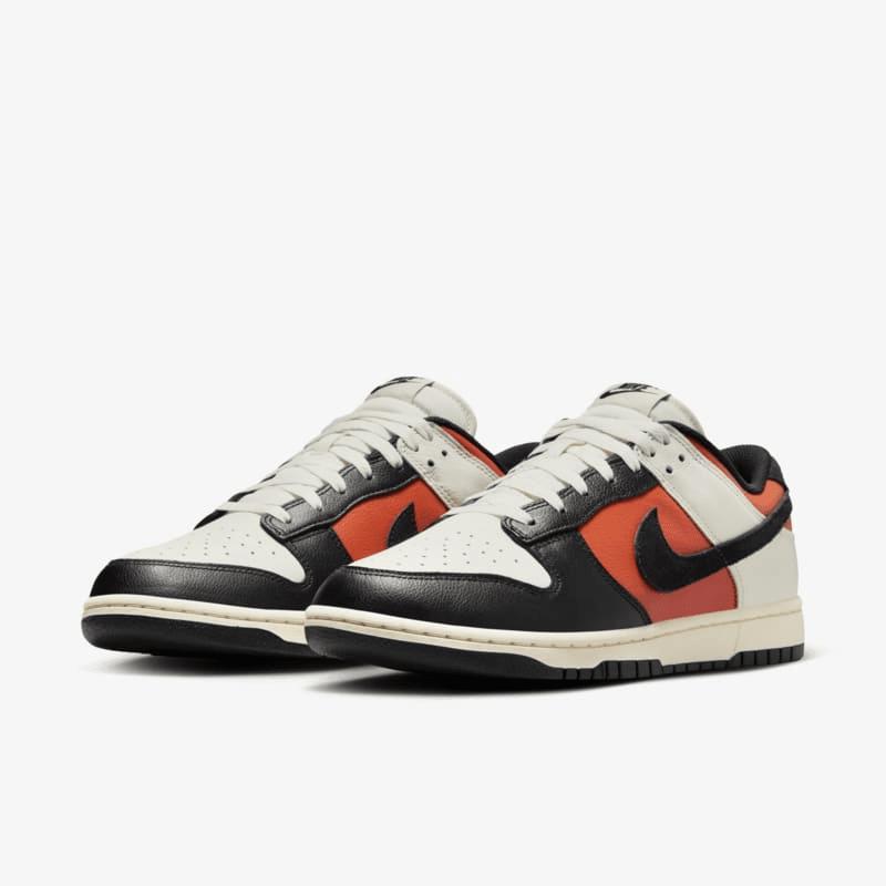 Nike Dunk Low Retro Men's Shoes Product Image