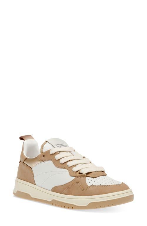 Steve Madden Everlie Multi) Women's Shoes Product Image