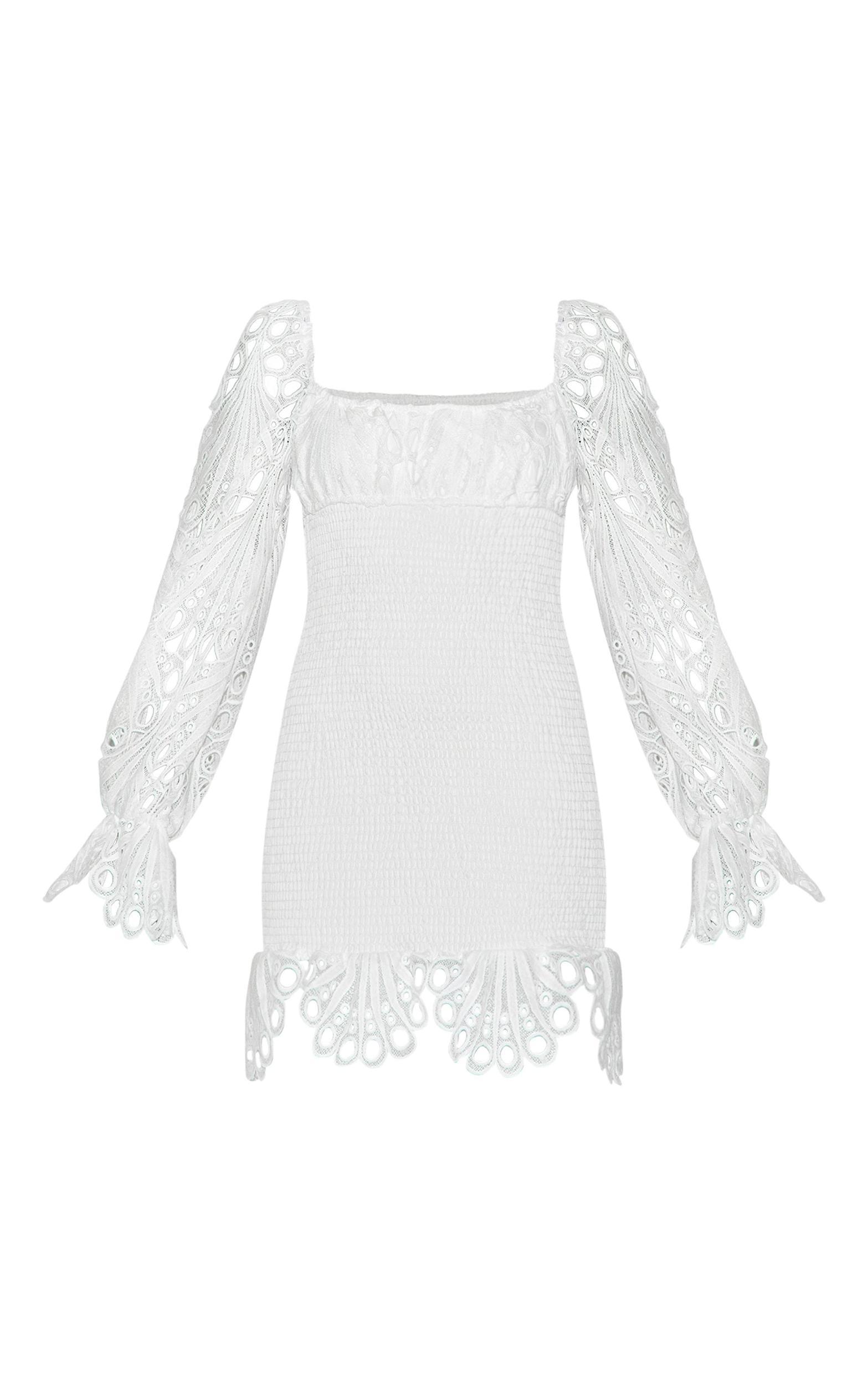 White Lace Sleeve Shirred Bodycon Dress Product Image