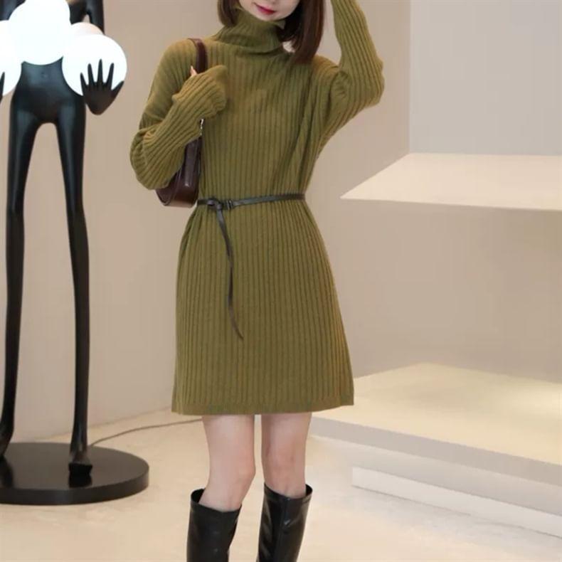Long-Sleeve Turtleneck Plain Ribbed Mini Knit Dress Product Image