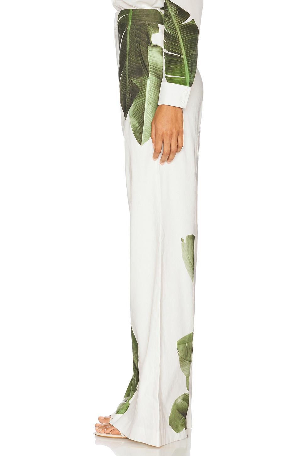 Dylan Pant Alice + Olivia Product Image