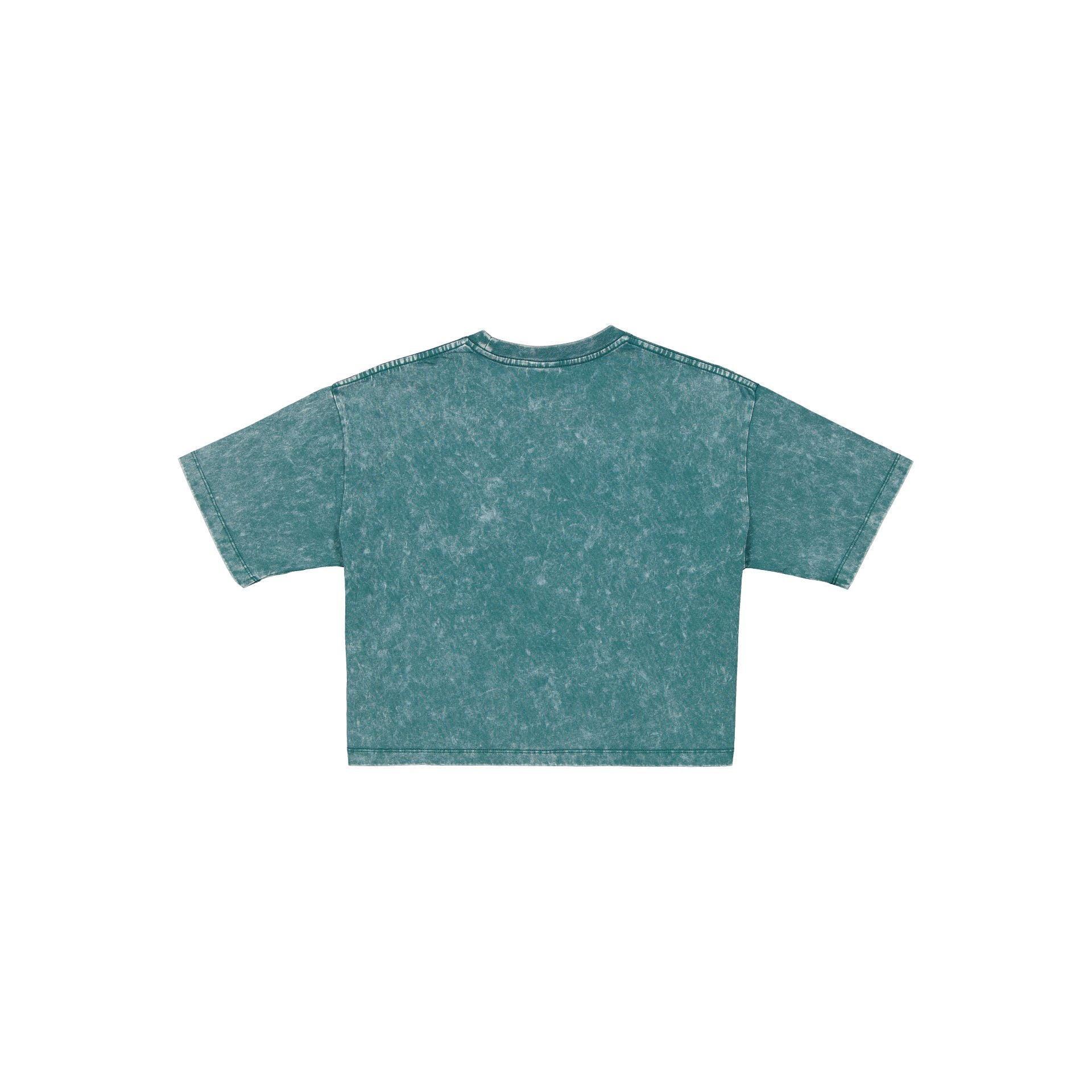 Philadelphia Eagles Sport Classics Women's Cropped T-Shirt Female Product Image