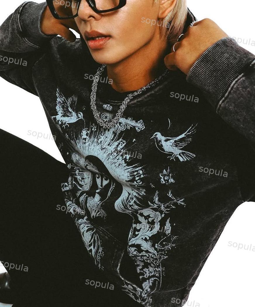 Red Spider Graphic Washed Hoodie Product Image