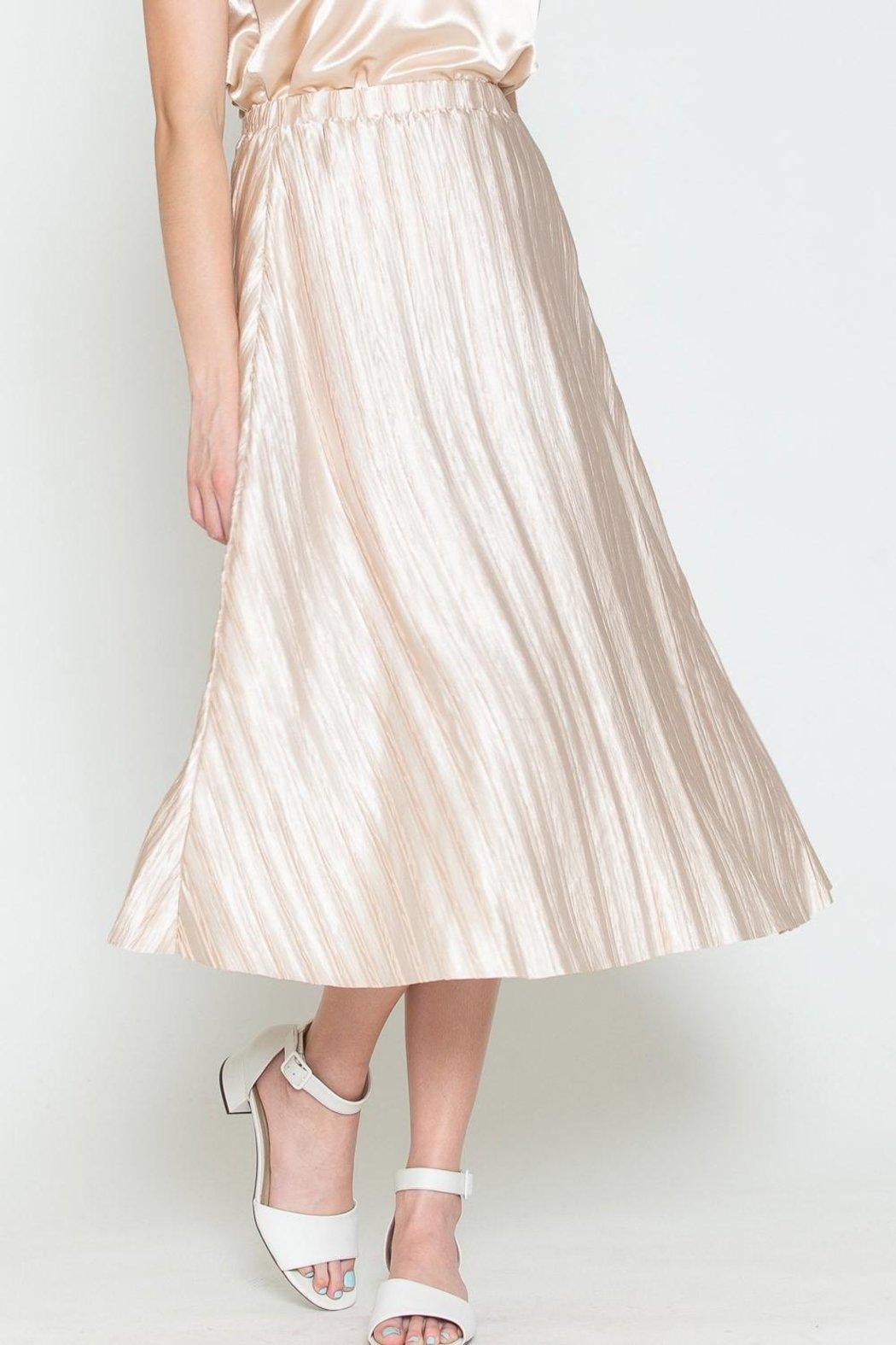 Pleated Skirt Product Image