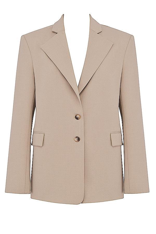 Aline Mink Oversized Blazer Product Image