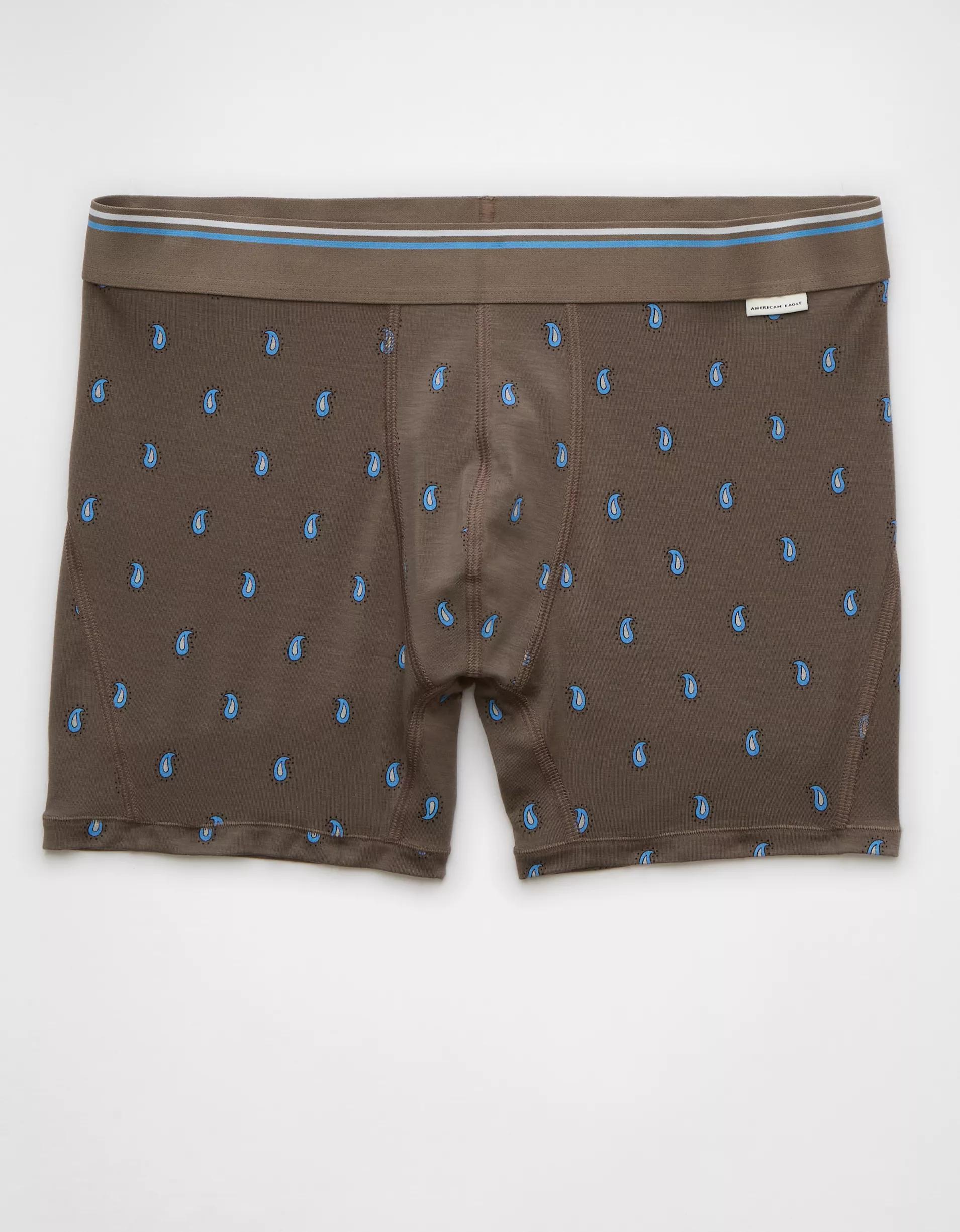 AEO Men's Paisley 4.5" Ultra Soft Boxer Brief Product Image
