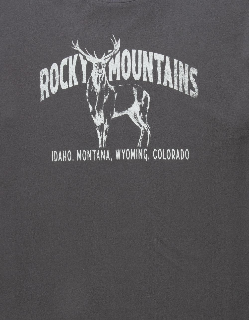 RSQ Mens Oversized Rocky Mountain Tee - BLACK Product Image