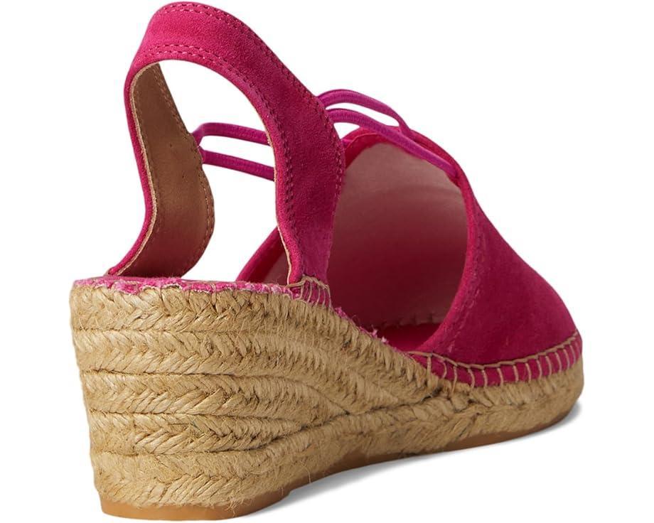 Toni Pons Product Image