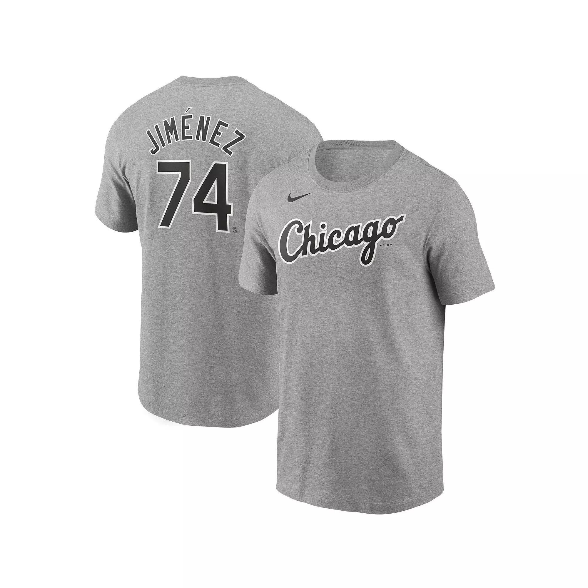 Mens Nike Tennessee Titans Legend Icon Performance T-Shirt Product Image