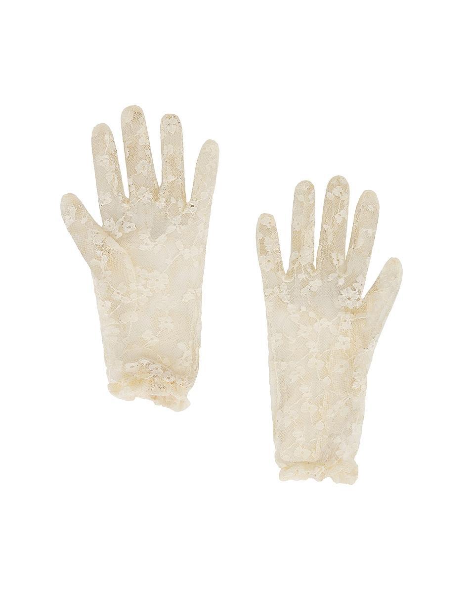 V Logo Signature Gloves Product Image