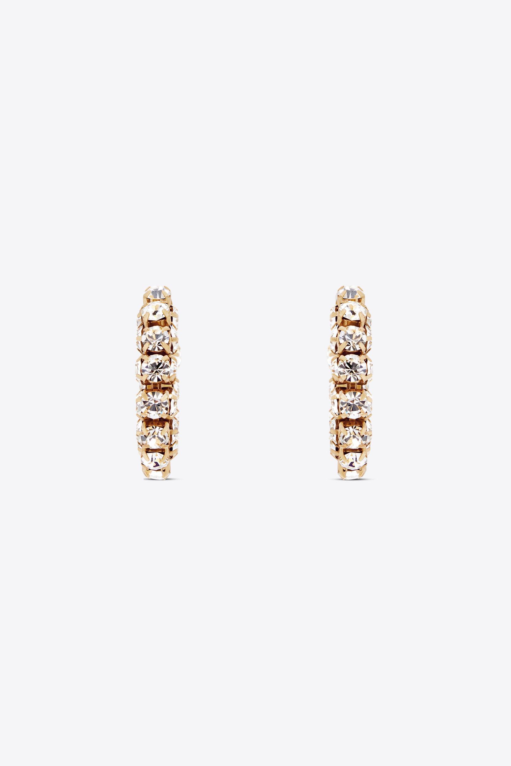 Small Crystal Hoop Earrings Product Image