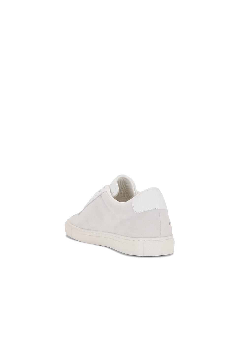 Tennis Classic Sneaker Common Projects Product Image