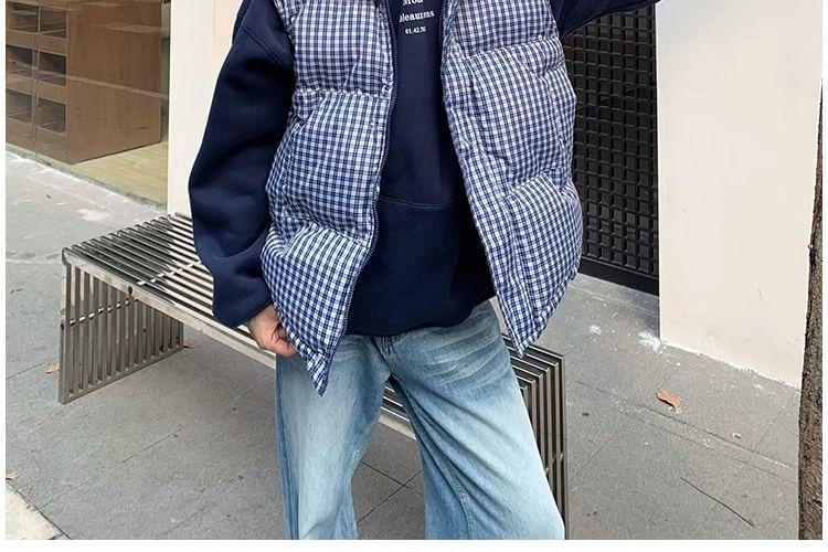 Plaid Zip Puffer Vest Product Image